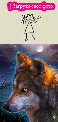 Сергей Митрофанов