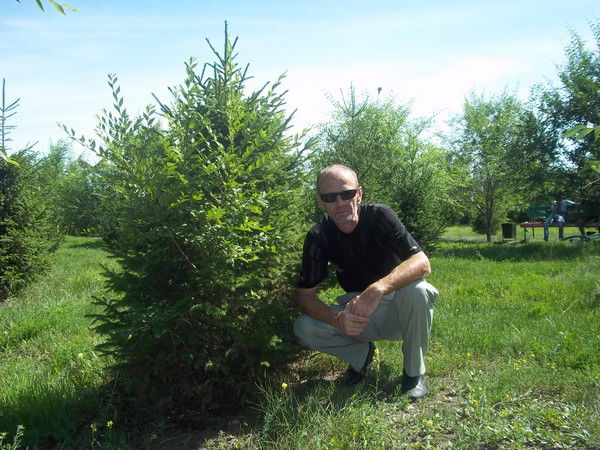 Вадим Колосовский