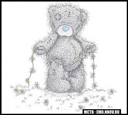 Сайфутдинов Тахир