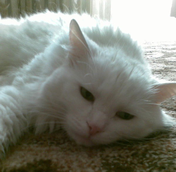 Маргарита Рябченко-