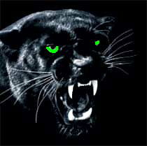 ???????°?? ???°?????µ??????????