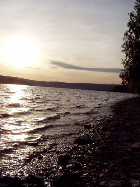 Анатолий Селин