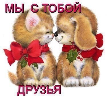 Кошаканчик *)