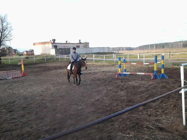 Роман Шалашов