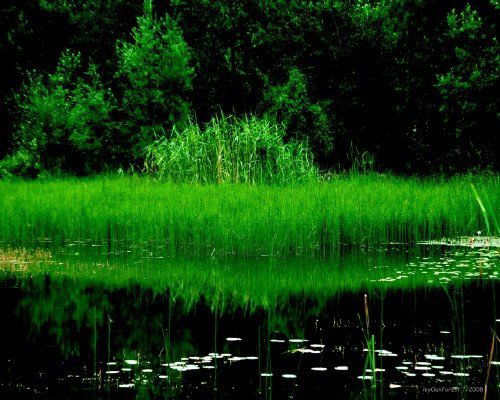 Юля Шабалина