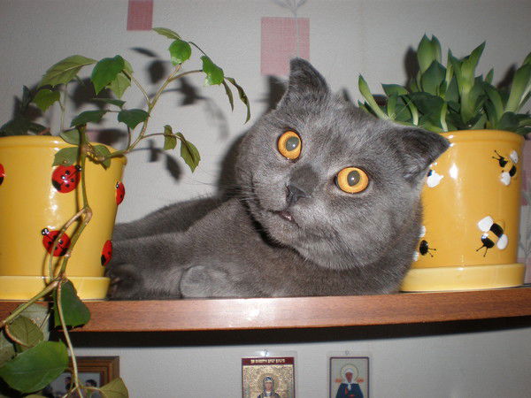 Валентина Глумова