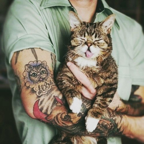 Мария Наумович