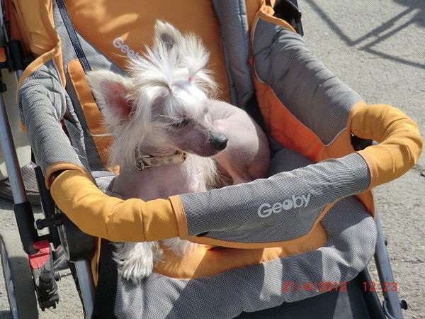 Радмила Линкс