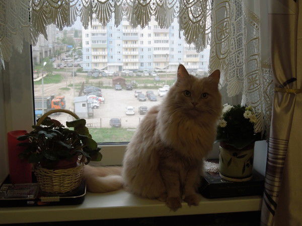 Наталья Юдина