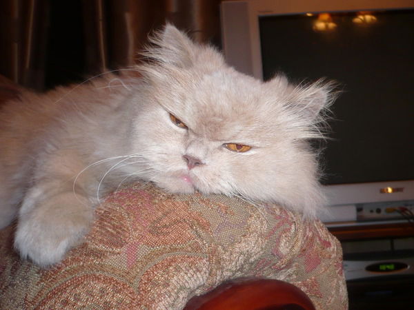 Александр Li