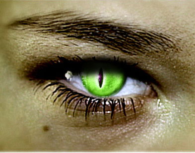 Викта Горбовская