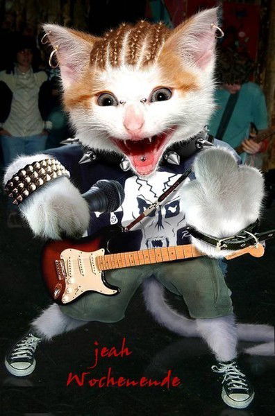 Александр Земляков