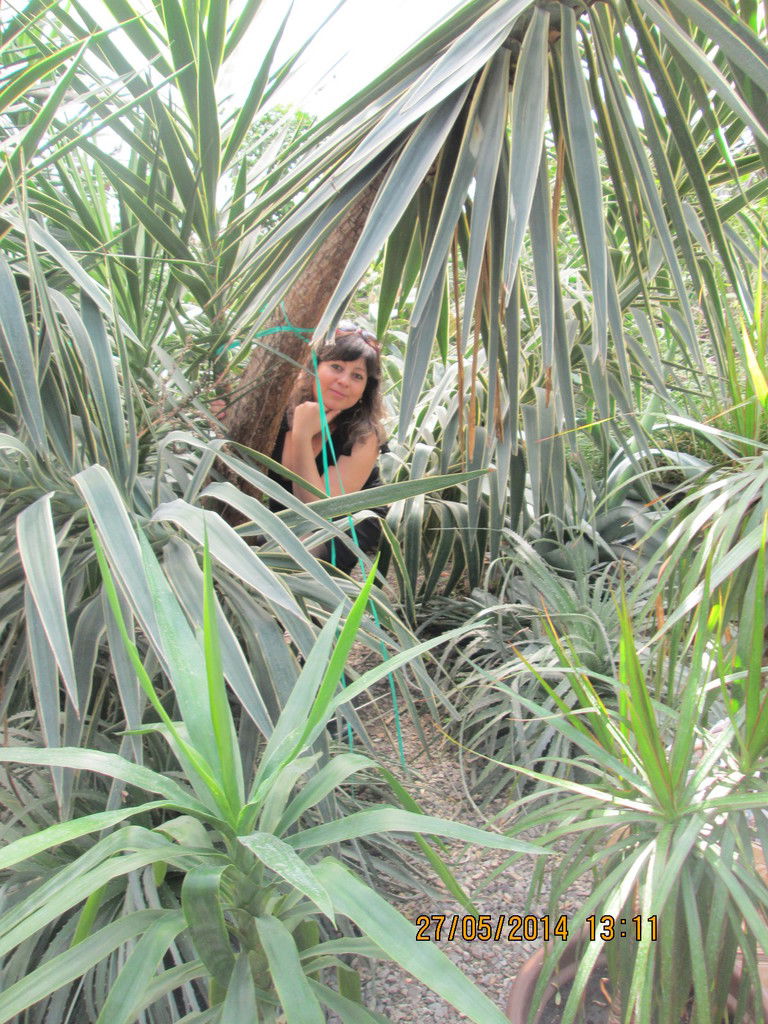 Залина Выкрестенко