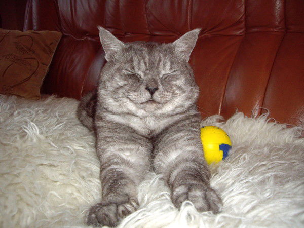 Инга Меркушова