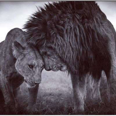 Лилия Ишбердина