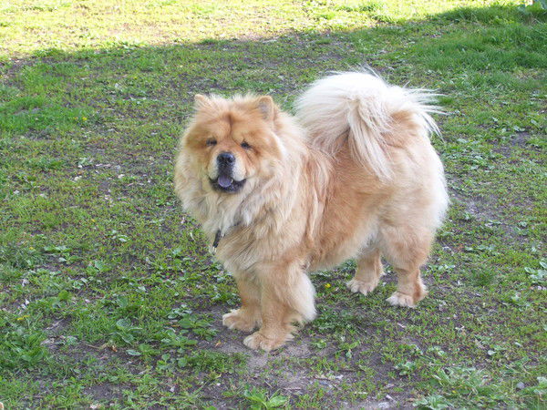 Михаил Клементьев