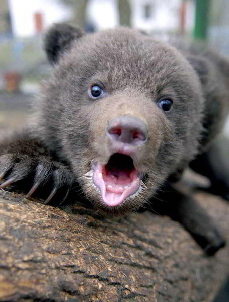 Артур Карабаев