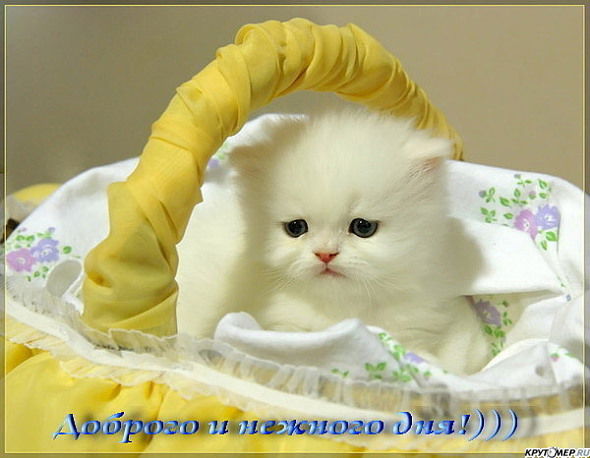 Настя Иванова