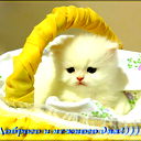 Настя Иванова