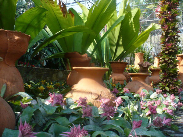 Дана Аубакирова