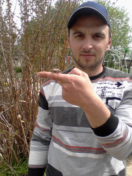 Анатолий Аввакумов