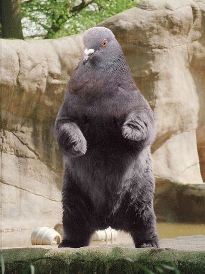 Никита Тарасов