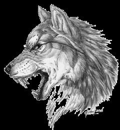 Костя Косарев