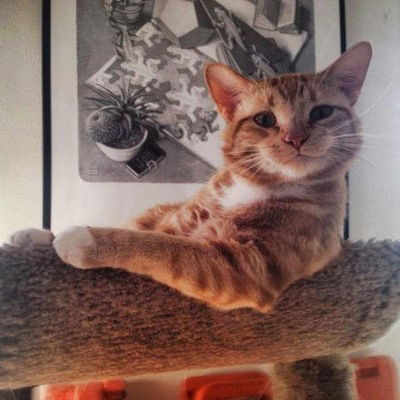 Никита Великий