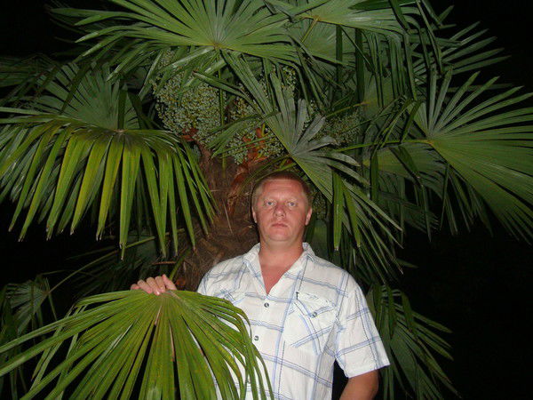 Николай Щелконогов