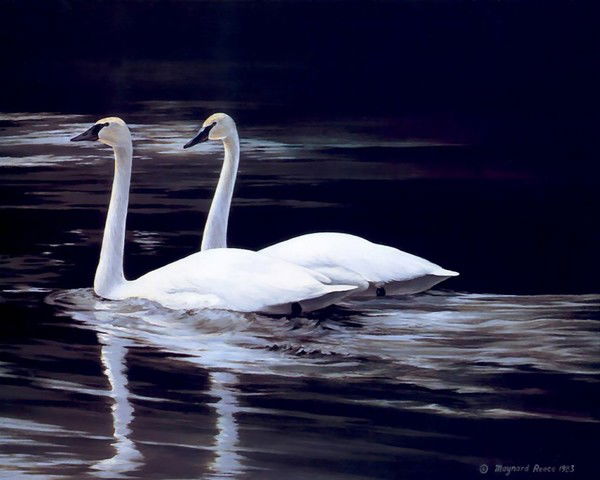 Динара Бекбаева