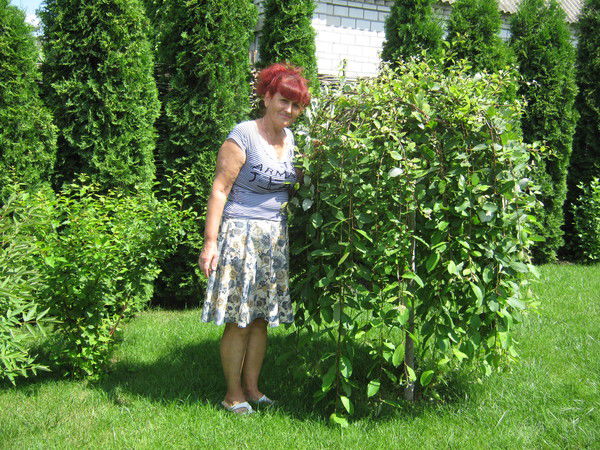 Татьяна Евченко