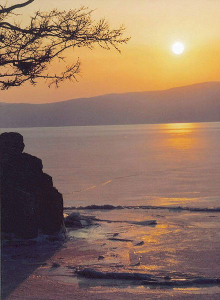 Татьяна Савченкова