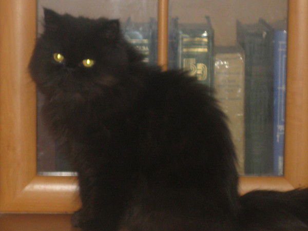 Наташа Горина