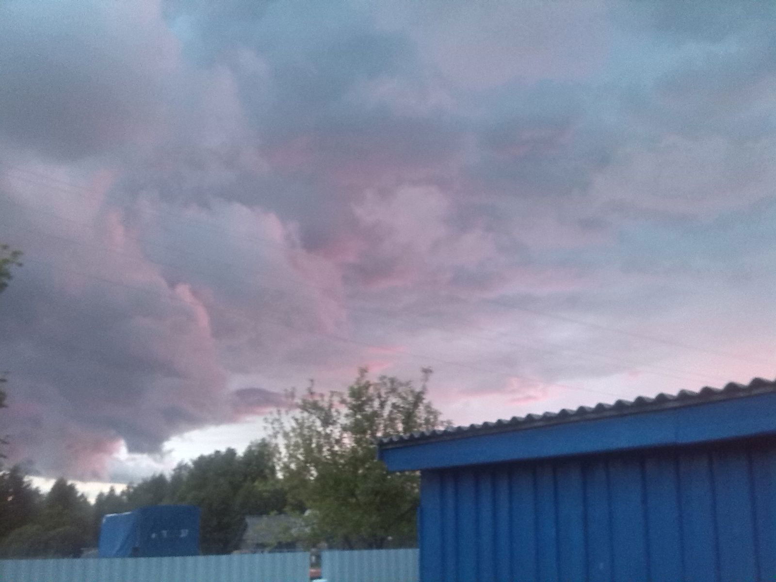 Юлия Шубина