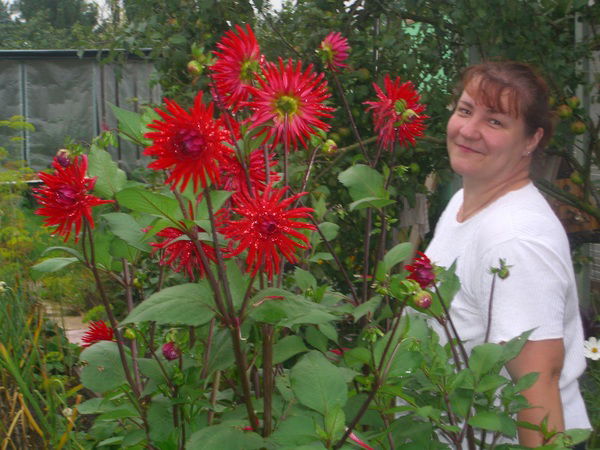 Таня Семёнова