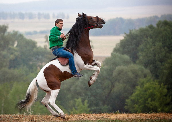 Ильдар Насибуллин