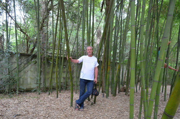 Гочуа Эринг