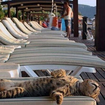 Инна Саразова