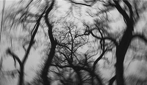 Елена Овечкина