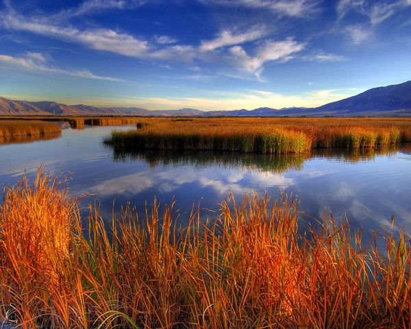Андрей Слободяник