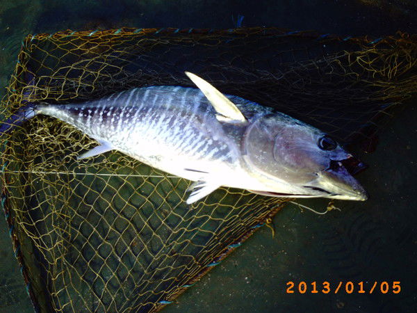 Алексей Нурахметов