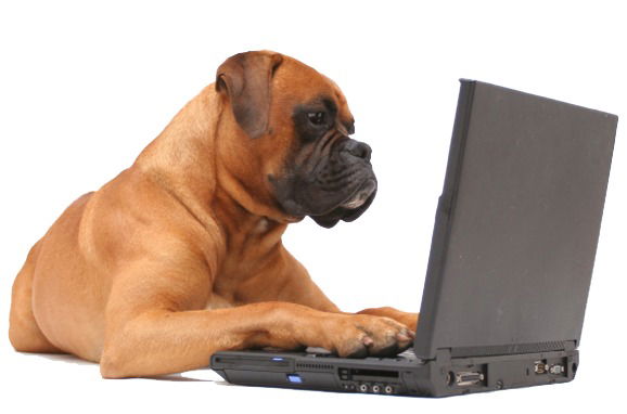 Надежда Ямских