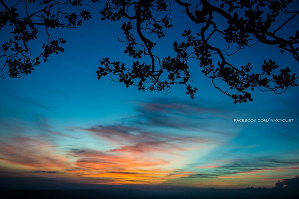 Эльвира Писанская