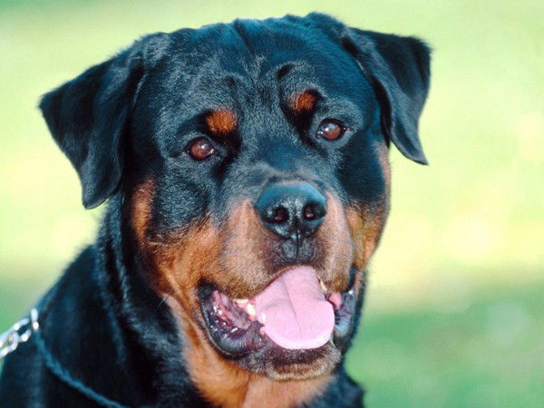 Вячеслав Дудник