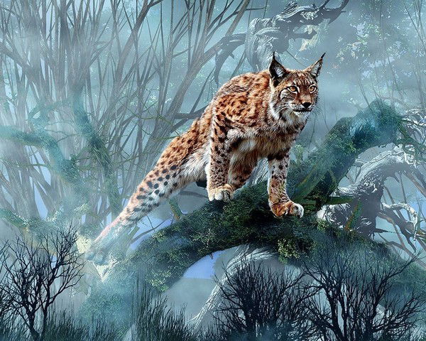 Скайдрите Мазуркевич