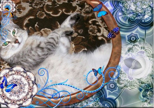 Катрин Матвеева