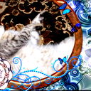 Катрин Матвеева