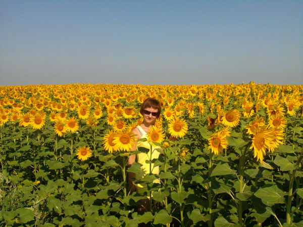 Света Шарантай