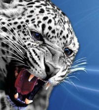 Фанус Рафиков