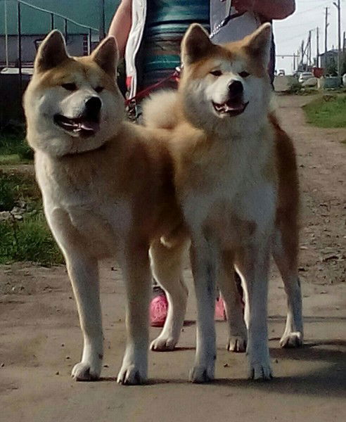 Иван Кузнецов